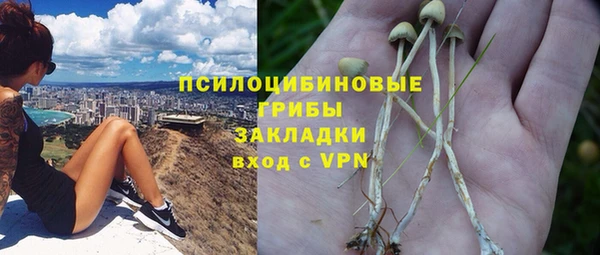 стафф Краснослободск