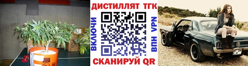 Купить  Калачинск  ТГК THC oil 