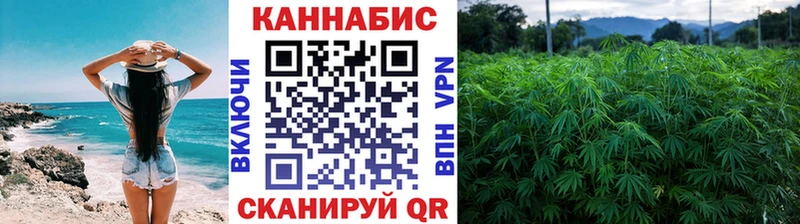 Конопля план Калачинск